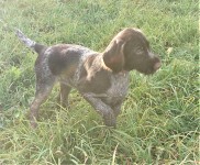 Фотогалерея