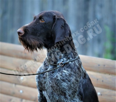 Valda (Вальда)