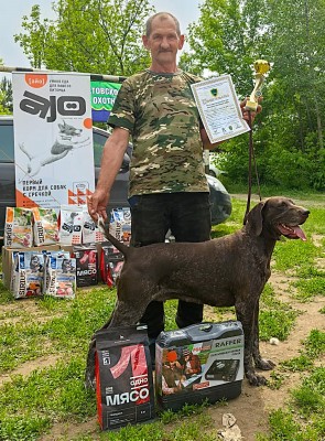Курцхаар Виват Юнис Молли