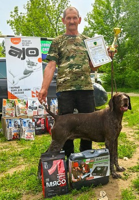 Курцхаар Виват Юнис Молли