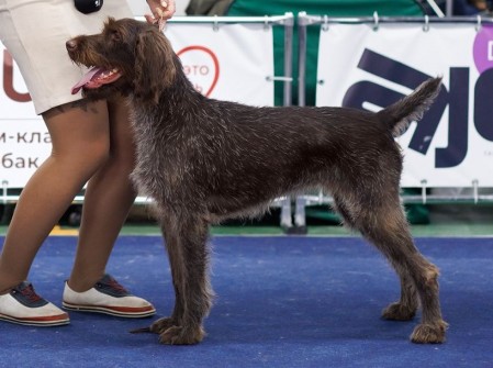 Brynhilda (Брюнхильда)