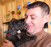 Малышка курцхаар Тайра уехала в новый дом