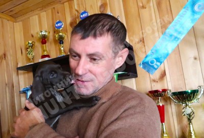 Щенок курцхаар Тайра