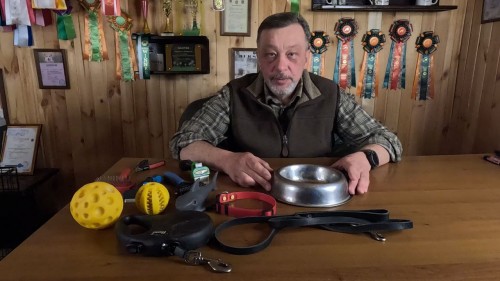 Первое видео на нашем канале. Что купить для щенка в первую очередь?