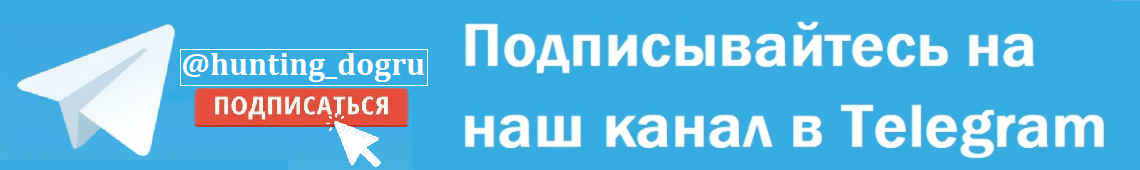 Каталог статей телеграм