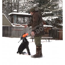 Курс апортировки Курс апортировки