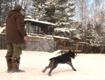 Обучение аппортировке в питомнике Hunting-dog