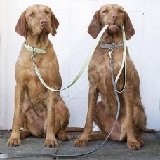 Обучение дрессировке Обучение дрессировке