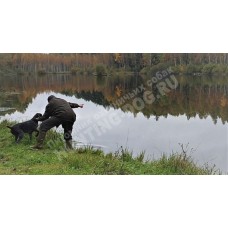 Подготовка к породным тестам Подготовка к породным тестам