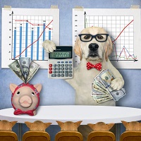 Почему так дорого?