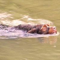Тренировки на воде